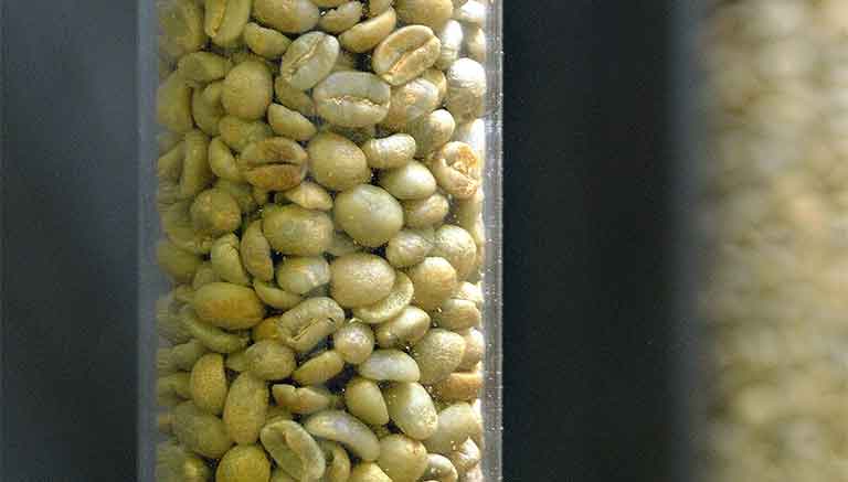 Coffeelab, le système d'aspiration des grains de café